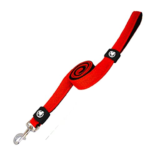 DDOXX Correa Perro Air Mesh, Acolchado, Lazo de Mano, 120 cm | Muchos Colores & Tamaños | para Perros Pequeño, Mediano y Grande | Accesorios Gato Cachorro | Naranja, XS