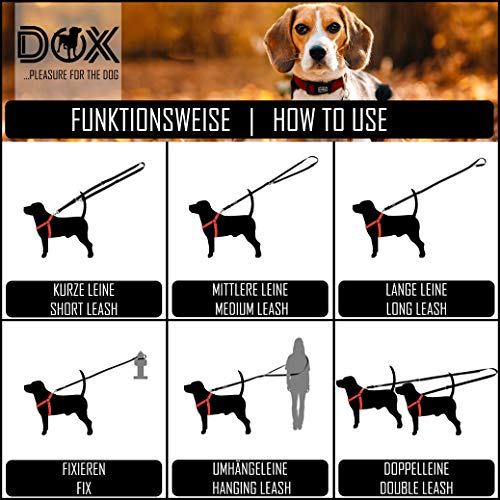 DDOXX Correa Perro Multiposición Nylon Reflectante, Ajustable en 3 tamaños, 2 m | Muchos Colores & Tamaños | para Perros Pequeño, Mediano y Grande | Correa Doble 2 Gato Cachorro | M, Naranja