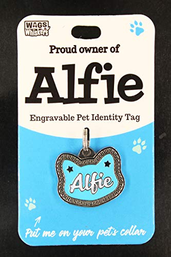 DESIRABLE GIFTS Los nombres de etiquetas de mascotas de Alfie y WHISKERS no se pueden cambiar