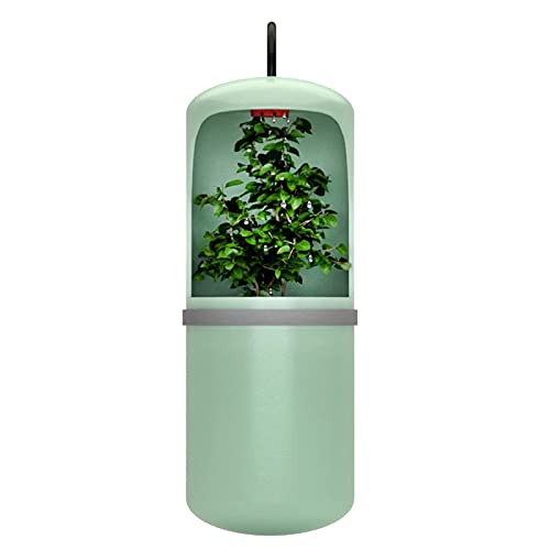 DFFng Fuente de Agua Potable automática para Reptiles, Lagarto, camaleón, dispensador de alimentación, terrario, Anfibio