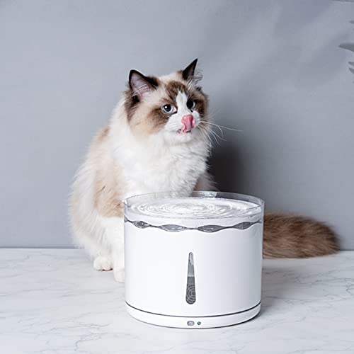 DHYBDZ Fuente de Agua automática para Gatos, Bebedero para Perros con luz LED, dispensador de Agua silencioso para Gatos con Ventana de Nivel de Agua