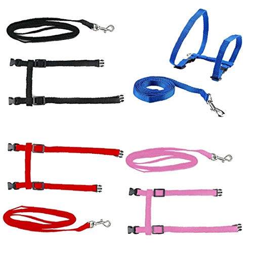 DierCosy Tools Gatito Arnés con Correa de Perro, Gato Ajustable del Correo del Plomo del Gato arnés arnés Gatito Gato Plomo Caminar Capacitación para Gatito Cachorro Negro