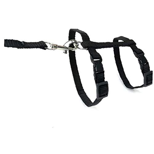 DierCosy Tools Gatito Arnés con Correa de Perro, Gato Ajustable del Correo del Plomo del Gato arnés arnés Gatito Gato Plomo Caminar Capacitación para Gatito Cachorro Negro