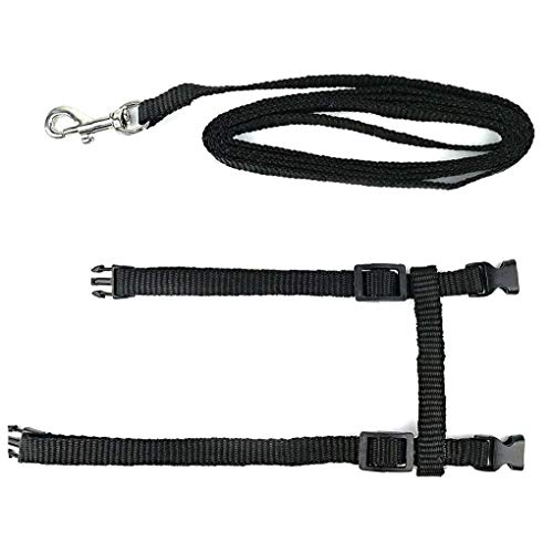 DierCosy Tools Gatito Arnés con Correa de Perro, Gato Ajustable del Correo del Plomo del Gato arnés arnés Gatito Gato Plomo Caminar Capacitación para Gatito Cachorro Negro