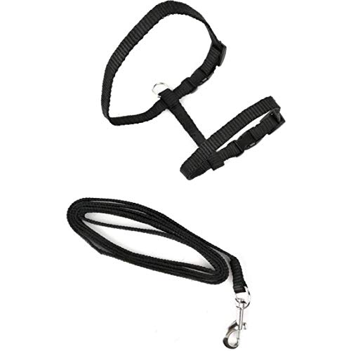 DierCosy Tools Gatito Arnés con Correa de Perro, Gato Ajustable del Correo del Plomo del Gato arnés arnés Gatito Gato Plomo Caminar Capacitación para Gatito Cachorro Negro
