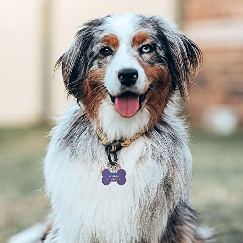 DISONTAG Placas para Perros,Placa para Perros Personalizadas, Etiqueta de identificación de mascota,QR posterior directo al perfil Guardar y mostrar información | Modificable
