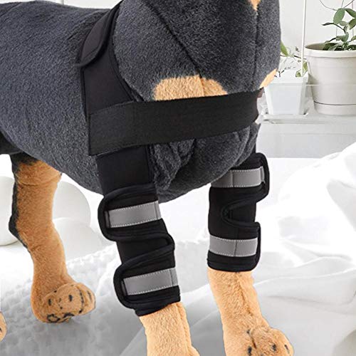 DOACT 1 par de Soportes de Pierna Delanteros Reflectantes para Perros con Manga de Apoyo Almohadillas para Rodillas para Mascotas Protector de Codo para Perros con compresión de Pata Canina(L)