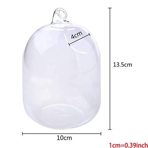 DREAMDEER Acuario de Botella de infusión de pecera de Vidrio Colgante Transparente suspendido