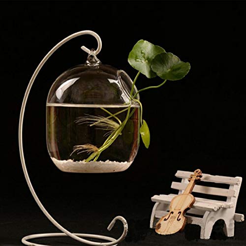 DREAMDEER Acuario de Botella de infusión de pecera de Vidrio Colgante Transparente suspendido