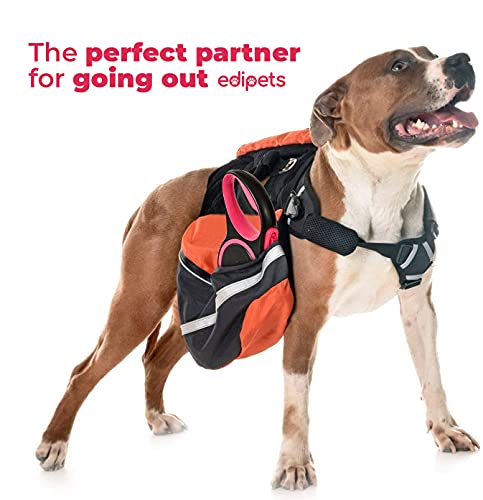 Edipets, Correa Perro Extensible, Retráctil, 3, 5 y 8 Metros, Cinta Flexible para Adiestramiento y Paseo (Rosa, 5 Metros <20Kg)