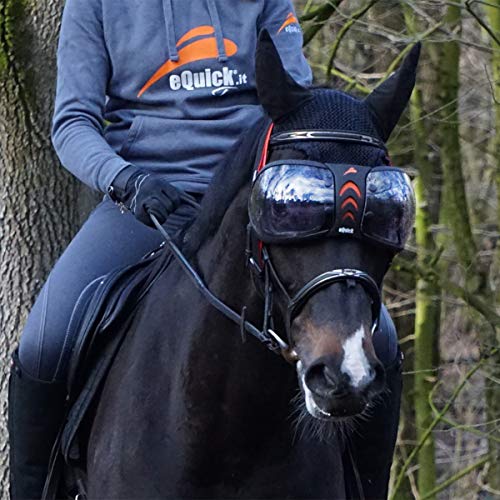 eQUICK eVYSOR - Protector de ojos para caballo, producto original - Fabricado en Italia, Transparente
