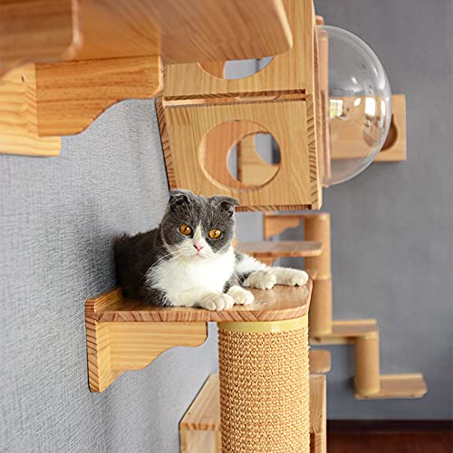 Estantes para Gatos Montados en La Pared, Escalones y Escaleras para Gatos Modernos, Muebles para Gatos de Primera Calidad para Dormir, Jugar, Trepar y Descansar con Capacidad para Hasta 40 Libras