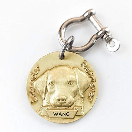 Etiqueta de identificación de perro personalizada Latón Modelo 3D Perros de raza pura Imagen frontal trasera Láser Tallado profundo American Bully Labrador-Belgian Malinois-31 mm (1.2 pulgadas)