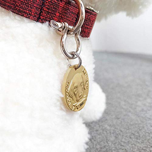 Etiqueta de identificación de perro personalizada Latón Modelo 3D Perros de raza pura Imagen frontal trasera Láser Tallado profundo American Bully Labrador-Belgian Malinois-31 mm (1.2 pulgadas)
