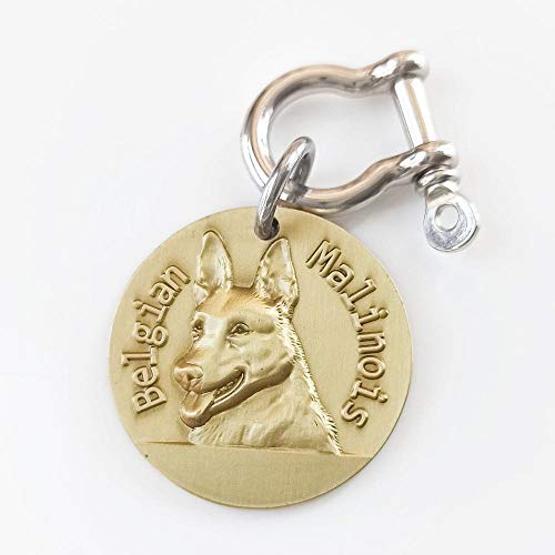 Etiqueta de identificación de perro personalizada Latón Modelo 3D Perros de raza pura Imagen frontal trasera Láser Tallado profundo American Bully Labrador-Belgian Malinois-31 mm (1.2 pulgadas)