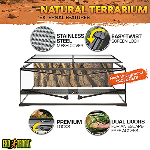EXO TERRA Exoterra Terrario Grande Low de 121 L, 90 x 45 x 30 cm, 90x45x30 cm (Paquete de 1)