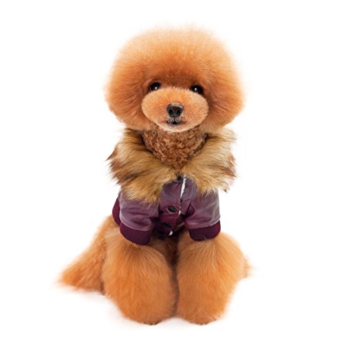 FishBabe - Cazadora de piel sintética con cuello de pelo, impermeable, resistente al viento, de estilo vintage, para perros de razas pequeñas y medianas como chihuahua, beagle, corgi o bulldog francés