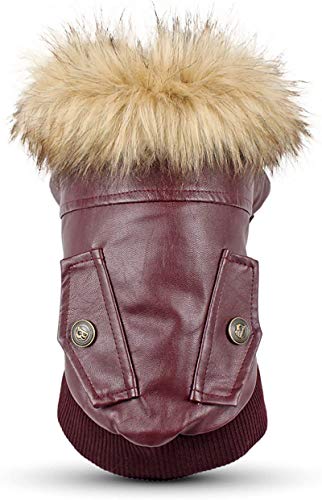 FishBabe - Cazadora de piel sintética con cuello de pelo, impermeable, resistente al viento, de estilo vintage, para perros de razas pequeñas y medianas como chihuahua, beagle, corgi o bulldog francés