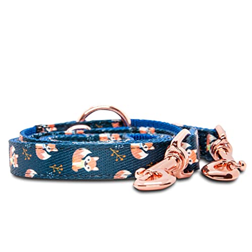 FREUDENTIER® Collar y Correa para Perros en un Maravilloso Set | Incluye Caja de Regalo | Colección Let's Get Foxy | Resistente al Invierno y fácil de Limpiar (41-63 cm)