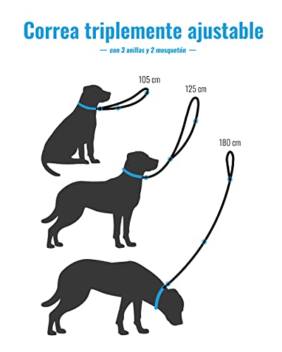 FREUDENTIER® Collar y Correa para Perros en un Maravilloso Set | Incluye Caja de Regalo | Colección Let's Get Foxy | Resistente al Invierno y fácil de Limpiar (41-63 cm)