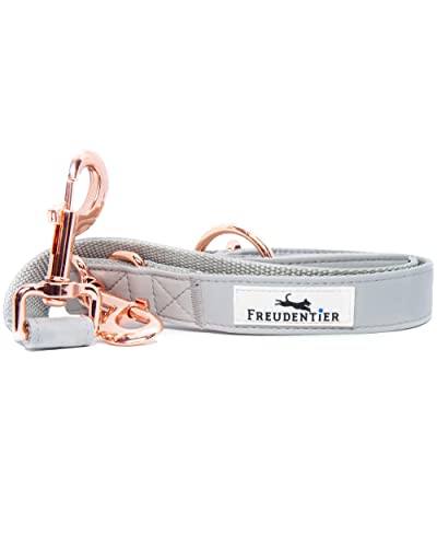 FREUDENTIER® Correa y collar para perros de piel vegana en elegante set–Incluye caja de regalo – Colección Hyde Park – Resistente al invierno y fácil de limpiar(30 – 42 cm)– Distribuidor de Hamburgo