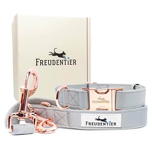 FREUDENTIER® Correa y collar para perros de piel vegana en elegante set–Incluye caja de regalo – Colección Hyde Park – Resistente al invierno y fácil de limpiar(30 – 42 cm)– Distribuidor de Hamburgo