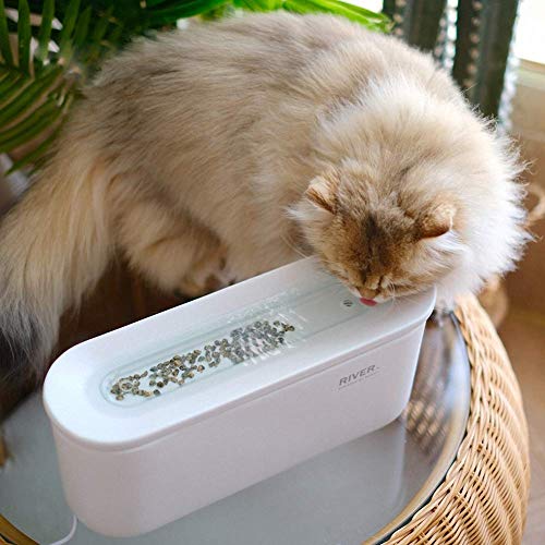 Fuente de Agua para Mascotas de cerámica River 1L Eléctrico Automático Gatos Dispensador de Agua para Perros Filtros de circulación silenciosa Bombas de Fuente No Mojado Cara Minerales Casca