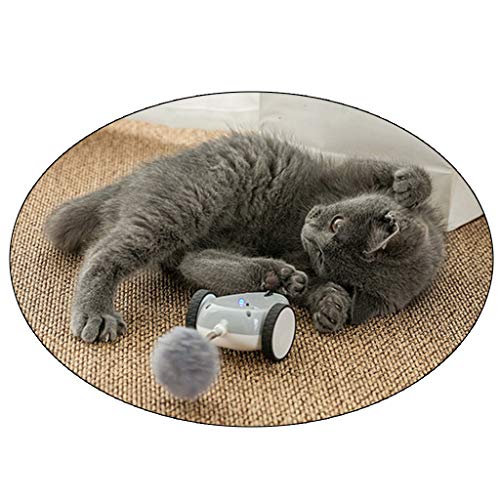Gato divertido ratón eléctrico Racer automático Irregular movimiento 360 ° Rotación mascota juguete mascota gato juguetes