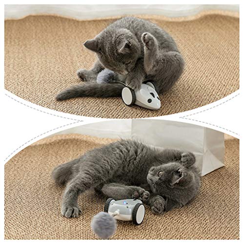 gqdlzgnyLL Gato Divertido Ratón Eléctrico Racer Automático Irregular Movimiento 360 ° Rotación Juguete para Mascotas