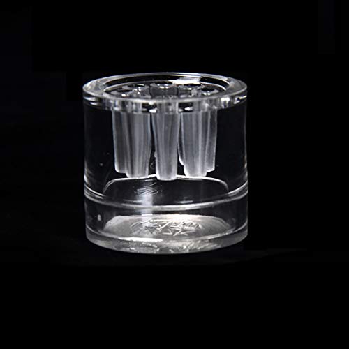 Guador Trampa Planaria Transparentes Glass Vivarium Pest Captura Camarón Gusano Planaria Leech Catcher Trampa Gusano para Cereza Cristal Rojos Enanos Sanguijuelas Gusano(3 Hoyos/2 Hoyos/8 Hoyos)