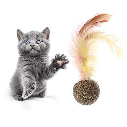 Haven shop 5 piezas de regalo para gato, mentol para mascota, gato menta natural orgánico premium golosinas juguete, gatito divertido sabor sueño Catnip