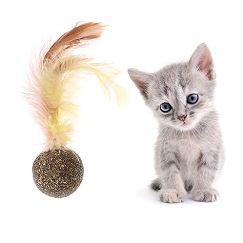 Haven shop 5 piezas de regalo para gato, mentol para mascota, gato menta natural orgánico premium golosinas juguete, gatito divertido sabor sueño Catnip