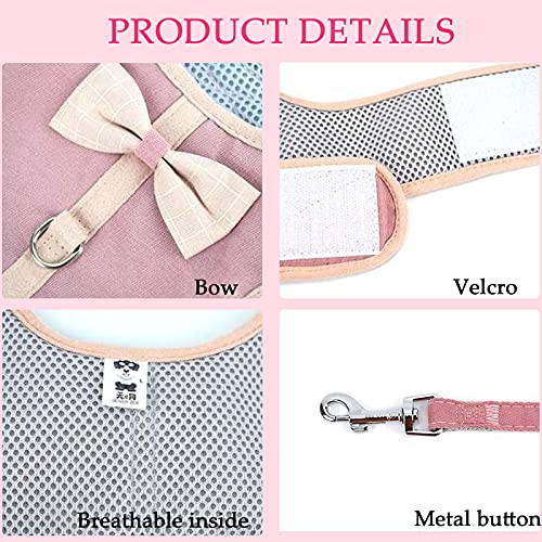 Havenfly Arnés y Correa para Perros, Juego de arnés de Malla Dulce para Cachorros y Gatos, Chaqueta de Cachorro respiratoria Juego de Exterior Ajustable arnés con Tira (A-Red, L)