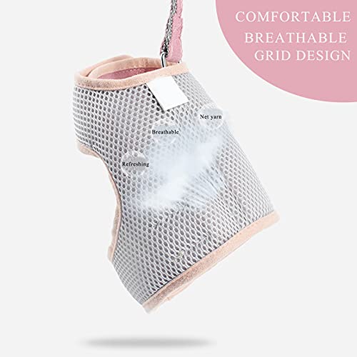 Havenfly Arnés y Correa para Perros, Juego de arnés de Malla Dulce para Cachorros y Gatos, Chaqueta de Cachorro respiratoria Juego de Exterior Ajustable arnés con Tira (A-Red, L)