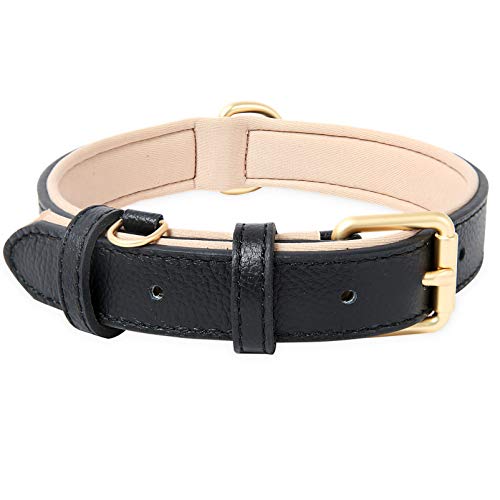 HEELE Collar Perro, Collar de Perro Acolchado de Cuero, Collar Suave en Cuero Genuino, Perros Pequeños, Medianos y Grandes, Negro, M