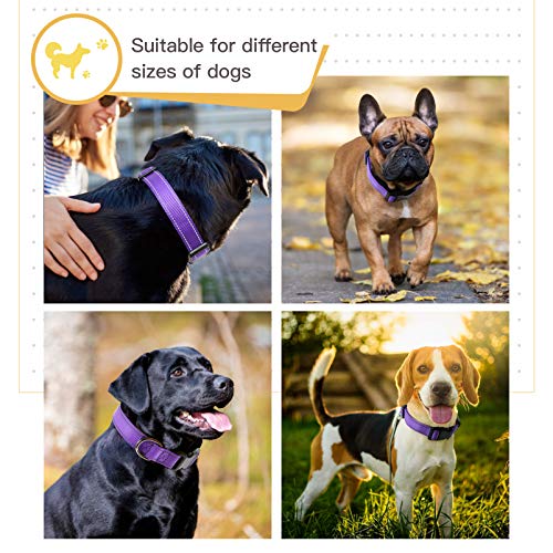 HEELE Collar Perro, Collar Nylon Reflectante Neopreno Forrado Ajustable para Perro Pequeño, Morado, S