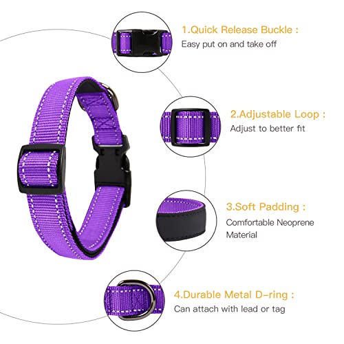 HEELE Collar Perro, Collar Nylon Reflectante Neopreno Forrado Ajustable para Perro Pequeño, Morado, S