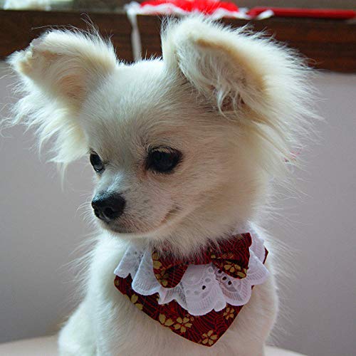 Hermoso Babero de Arco de Encaje de Perros Hecho a Mano con Bufanda de Perro de Mascotas de Estilo japonés de Mosca Linda para Perros de Cachorros Accesorios para Mascotas-Negro_SG