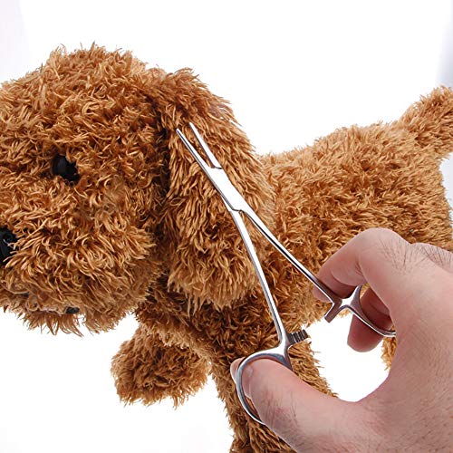 hongyupu Tijeras para Perros Tijeras Peluqueria Canina Removedor de Orejas para Mascotas El Pelo de la Nariz Tijeras Tijeras curvadas para Perro Straight,12.5cm