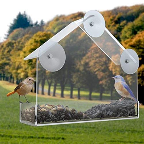 huahuajia Comedero Pajaros Comedero Pajaros Jardin Claro alimentador de Aves Alimentador de pájaros con ventosas Alimentador de Semillas de Níger Robin pájaro