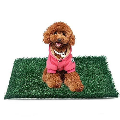 Inodoro para Perros Nuevo estera de entrenamiento de inodoros para perros con espesas artificialmente a prueba de salpicaduras de césped que cambian las materiales para mascotas Loo para Perros