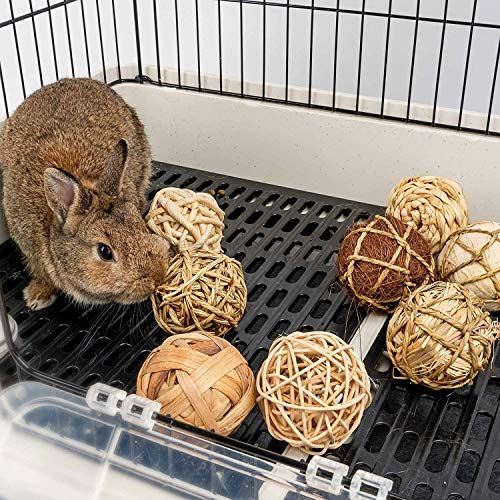JAVOUKA Juego de 9 bolas de actividad para animales pequeños, juguetes para masticar para conejos, conejos, conejos, conejos, conejos, conejos, jerbos