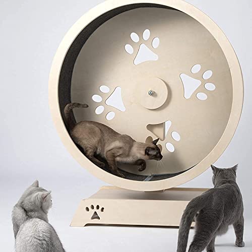 JeeKoudy Cancha De Cinta Redonda con Rueda De Fortuna, Gato Ejercicio Muebles para Mascotas Torre Gato con Postes De Rasguños Casa De Pey Play Correr Ejecución Giro para Gatos Rueda De Movimiento