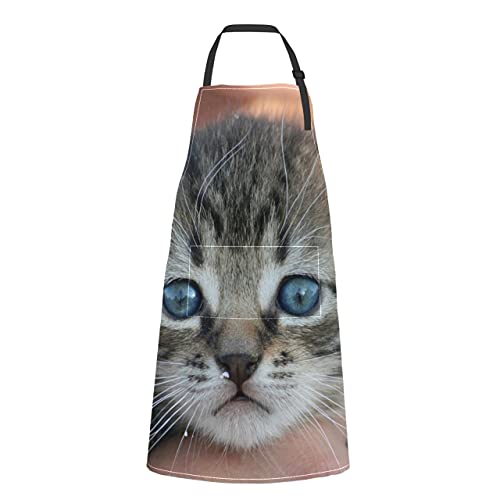 JOCHUAN Animal Gato Gatito Mascotas Gato Doméstico Tabby Gris Delantal Parrilla Para Hombre Animal Gato Gatito Mascotas Gato Doméstico Tabby Gris Corbata Ajustable Con Bolsillos Para Adult