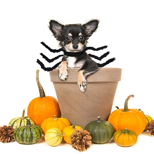 jojofuny Disfraz de Mascota Araña de Halloween Disfraz de Gato Araña Peluda Cosplay Ropa Negra Araña de Peluche Trajes Vestir para Perros Pequeños Perros Medianos Gatito L