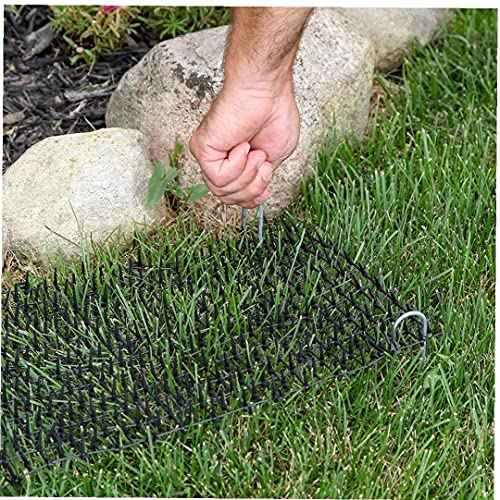 Jorzer Gato De Disuasión Mat Gato del Jardín Tapón Gato Repelente Mat Plana Prickle Perro Franja De Excavación De Disuasión para Interiores Y Exteriores Negro M