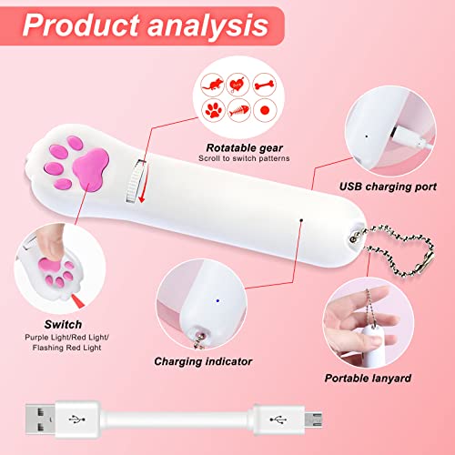 Juguetes interactivos para Gatos y Perros, Juguetes de Entrenamiento para Hacer Ejercicio, USB Recargable