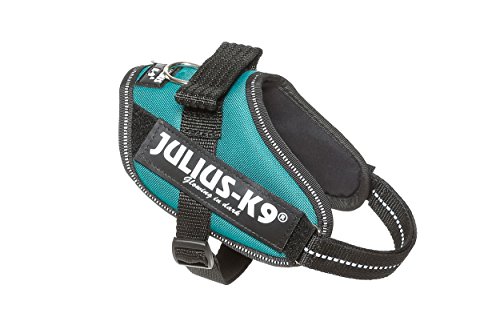 JULIUS-K9 16IDC Power Harness