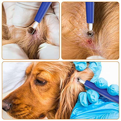 Kasimir Pinzas para garrapatas, Pinzas para garrapatas para Perro/Gato, Profesional Garrapatas Herramienta - Fácil de Eliminar Garrapatas para Mascotas Perros Gatos Caballos Azul