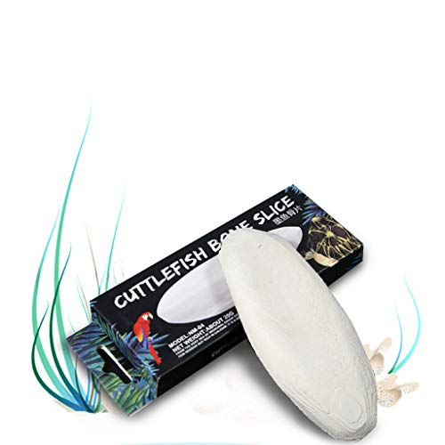KdjsicReptile Turtle Health de liberación Lenta Mineral de Calcio Hueso de Sepia para Tortuga acuática, alimentación de Aves, Bloque de Hueso de Sepia